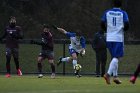 MSoc vs Springfield  Men’s Soccer vs Springfield College. : Wheaton, MSoccer, MSoc, Men’s Soccer